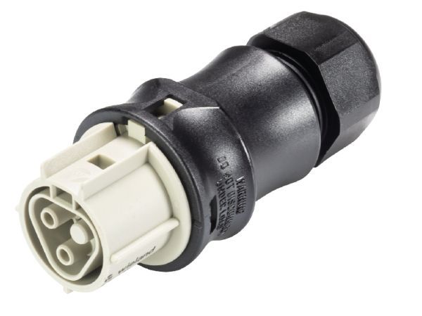 Wieland RST20I2S B13ZASS L KG06 Steckverbinder (96.021.4950.8) Wieland RST20I2S B13ZASS L KG06 Steckverbinder (96.021.4950.8)