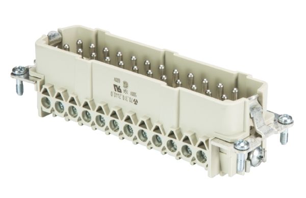 Wieland BAS STS 24 2,5 50 AG Steckereinsatz (70.310.2402.0)
