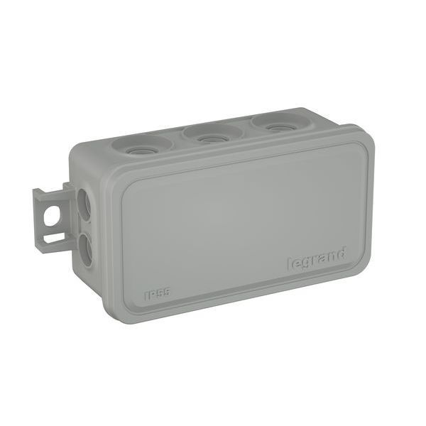 Legrand 092004 PLEXOKASTEN IP55 80X43x34 Abzweigdose (092004)