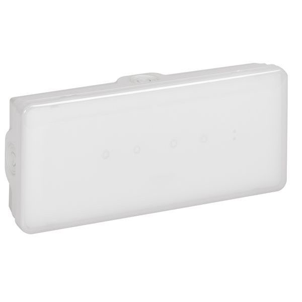 Legrand 662431 B65 100LM 1STD B-D AAT IP65 Einzelbatterieleuchte (662431)