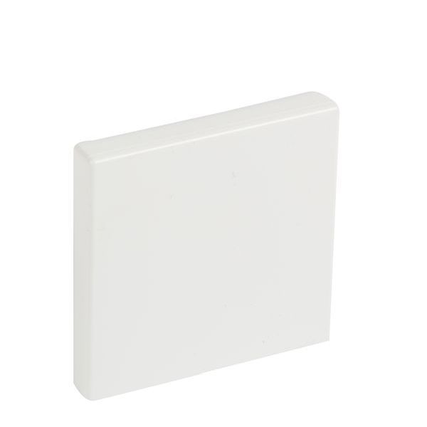 Legrand 637354 f. DLP 60/60 RW Endstück (637354)