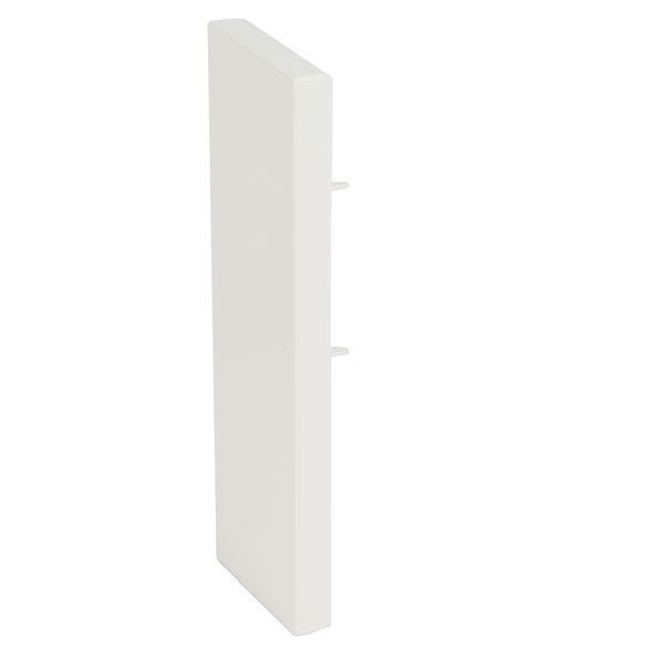 Legrand 637394 f. DLP 60/200 RW Endstück (637394)
