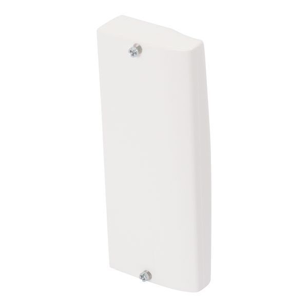 Legrand 611743 50x130mm halogenfrei Endstück (611743)