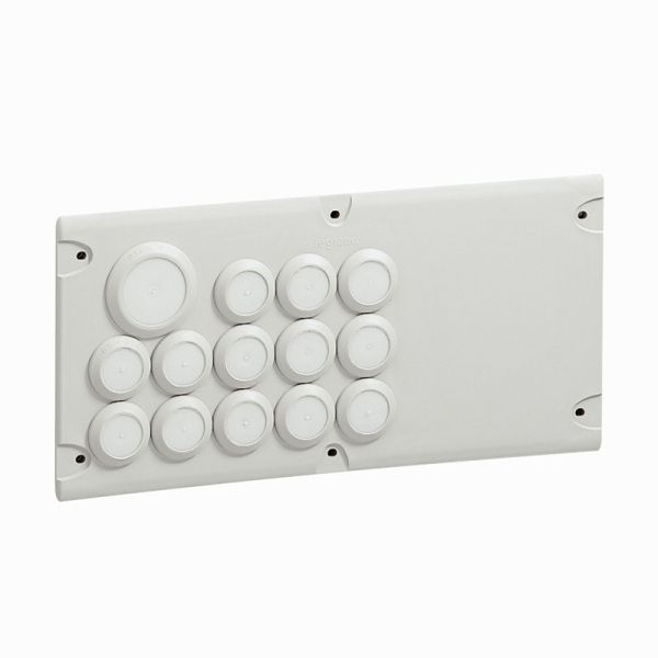 Legrand 036496 31F Flanschplatte (036496)