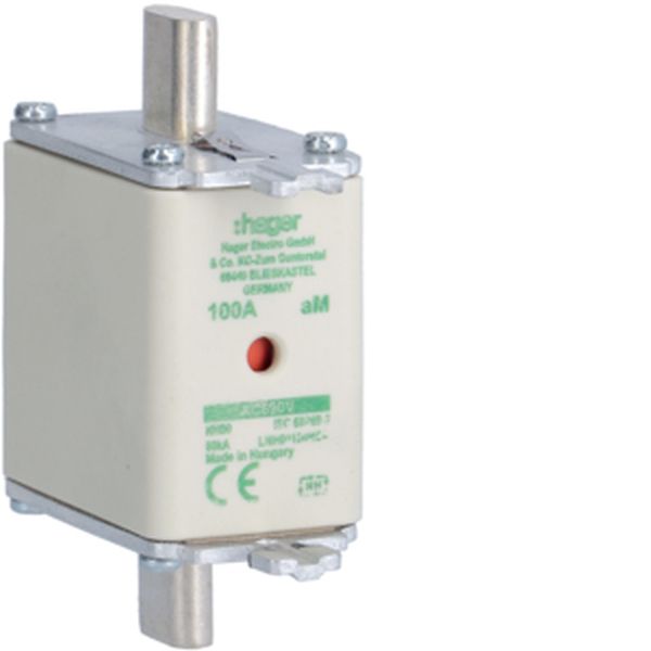 Hager LNH00100M6A NH00 aM 690V 100A K-Melder NH-Sicherungseinsatz (LNH00100M6A)