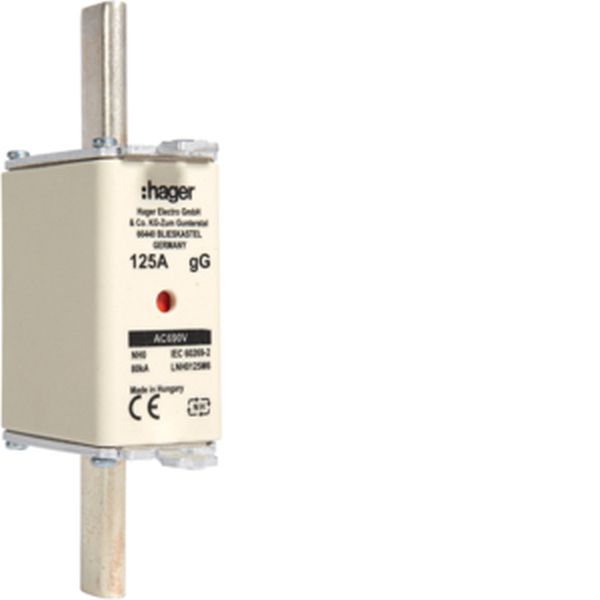 Hager LNH0125M6 NH0 gG 690V 125A K-Melder NH-Sicherungseinsatz (LNH0125M6)