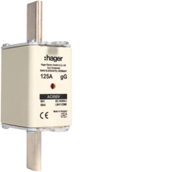 Hager LNH1125M6 NH1 gG 690V 125A K-Melder NH-Sicherungseinsatz (LNH1125M6)