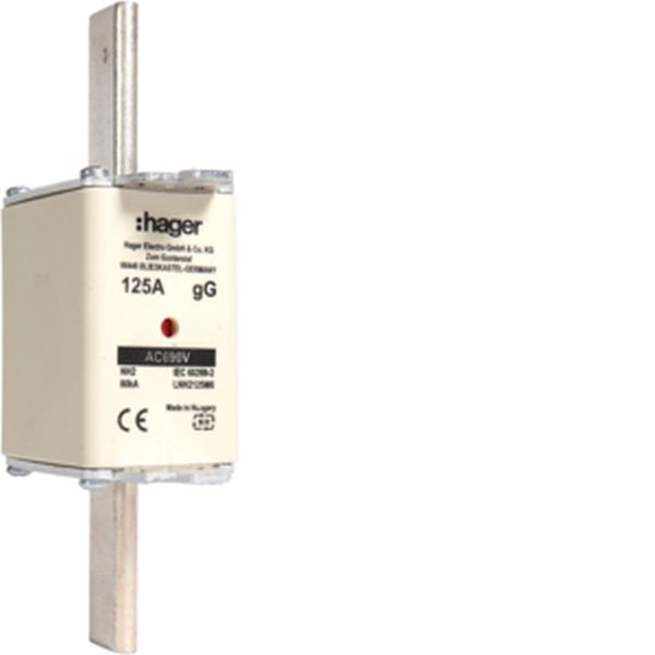 Hager LNH2125M6 NH2 gG 690V 125A K-Melder NH-Sicherungseinsatz (LNH2125M6)