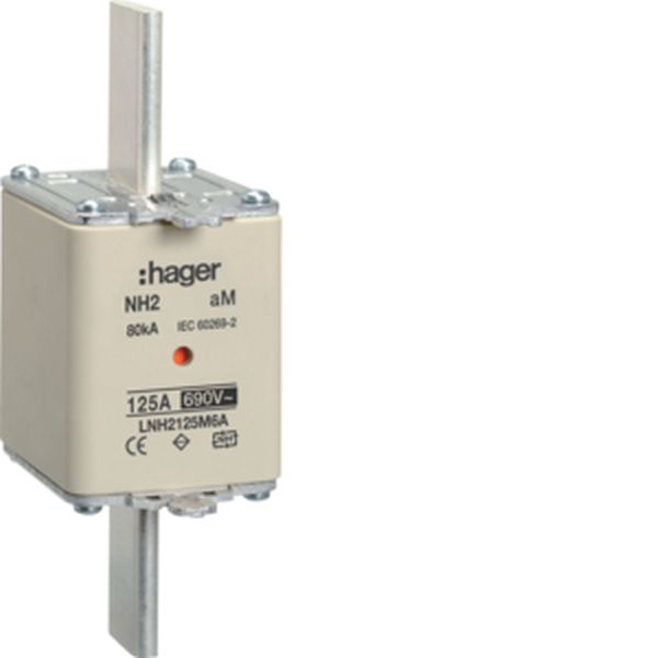 Hager LNH2125M6A NH2 aM 690V 125A K-Melder NH-Sicherungseinsatz (LNH2125M6A)