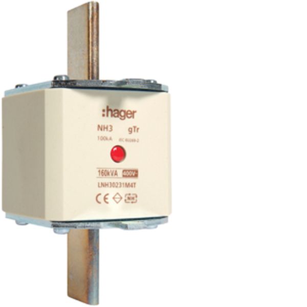 Hager LNH30231M4T NH3 gTr 400V 160kVA 231A M NH-Sicherungseinsatz (LNH30231M4T)
