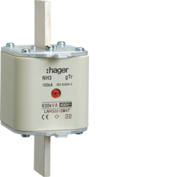 Hager LNH30910M4T NH3 gTr 400V 630kVA 910A M NH-Sicherungseinsatz (LNH30910M4T)