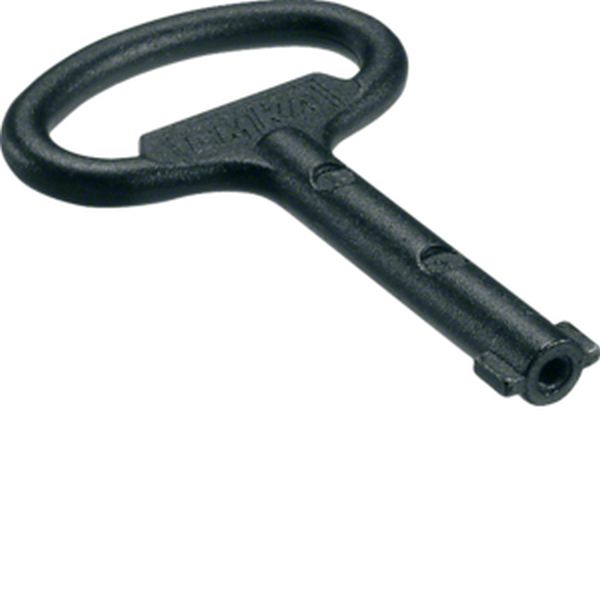 Hager MES-SDB3 zu Dorn für Doppelbart 3mm Schlüssel (MES-SDB3)