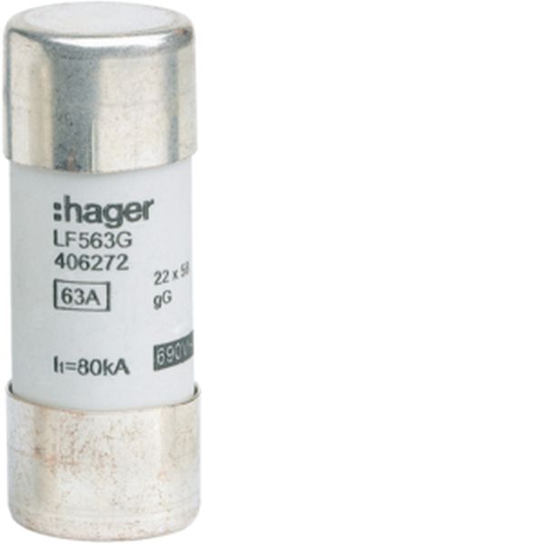 Hager LF563G 22x58mm gG 63A Sicherung (LF563G)