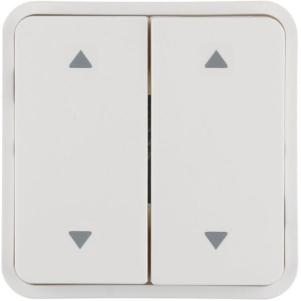 Hager 2f. f Taster BA AP Bed 2 Pf. o/u W.1 pws Wippe (WNT974B)