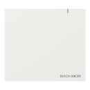 Busch Jaeger SAP.13 - System Access Point 3.0 (2CKA006200A0868)